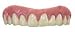 Secure Smile Cosmetic Dentures False Teeth Novelty