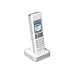 Electronics : NETGEAR SPH150D - Cordless extension handset - DECT - Skype