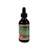 Global Healthcare Green Tea Plus ResveratrolTM and Other Antioxidants -- 2 fl oz
