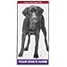 Labrador Retriever (Chocolate) 30 x 60 Personalized Name Only Beach Towel - Black/White