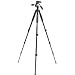 Dolica ax620b100 62 inch Proline Tripod and Ball Head 11Rxk%2BkiTmL. SL75 Dolica ax620b100 62 inch Proline Tripod and Ball Head