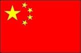 中国 国旗のタトゥーシール