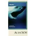 Audubon:Sharks