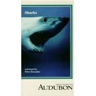 Audubon: Sharks [VHS]