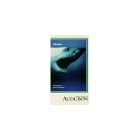 Audubon: Sharks [VHS]