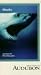 Search : Audubon: Sharks
