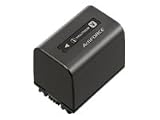 Sony NPFV100 Rechargeable Battery Pack (Black)