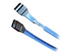 Adaptec - Serial ATA / SAS cable - 7 pin Serial ATA - 7 pin Serial ATA - 0.5 m