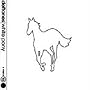 White Pony