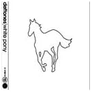 White Pony