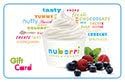 Nuberri Frozen Yogurt Gift Card ($10)