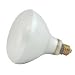 Trex Active Uv Heat Bulb 100w Flood