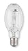 LumaPro 2YGD9 HID Lamp, 250 Watts, ED28, MVR250/U