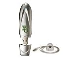 EDGE DiskGO Baylor Bears Flash Drive - USB flash drive - 256 MB - Hi-Speed USB - sleek silver
