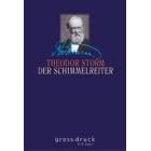 Der Schimmelreiter, Großdruck (Gebundene Ausgabe)