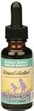 Herbs For Kids Echinacea/GoldenRoot - 2 oz Bottle