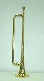 Crystalcello CWD471 Student Bugle