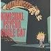 Calvin & Hobbes + Peanuts