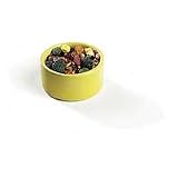 PETS INTERNATIONAL SMALL PET DISH MINI CROCK