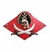 PIRATE PLAQUE HANG WALL DECOR SKULL SWORDS JOLLY ROGER