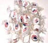 American Flags Taffy