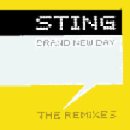Brand New Day [REMIX] - Sting
