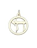 Chai (Hebrew Letter) in Frame, 14K Gold Charm