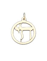 Chai in Frame  14K Gold Charm