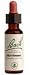 Hornbeam - 20 ml - Liquid