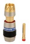 Monster Cable QuickLock M1000 QL M1000 RB-50 - Video / audio connector - RCA (M) - blue (pack of 50 )