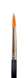 Professional Make-Up Brush Size 5