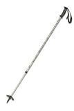 MSR Denali 2 Poles for Snowshoeing and Hiking
