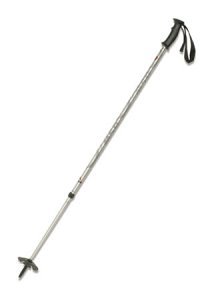 MSR Denali 2 Poles for Snowshoeing and Hiking