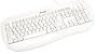 Labtec Standard Keyboard PS2 Spill Resistant