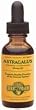 Astragalus Extract - 1 oz - Liquid