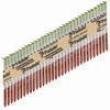 Paslode 650382 Round Head 2 3/8-Inch by .113-Inch by 30 Degree Paper Collated Hot Dipped Galvanized Framing Nail (2,000 per Box)