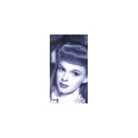 The Judy Garland Giftset (Meet Me in St. Louis, The Harvey Girls, Easter Parade) [VHS]