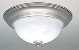 20009-02-55 Forte Lighting