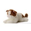 Plush Scottish Fold Cat Flopsie 12"