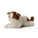 scottish fold - Plush Scottish Fold Cat Flopsie 12