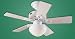 Hunter 20422 Bainbridge  One-Light 42-Inch Five-Blades Ceiling Fan