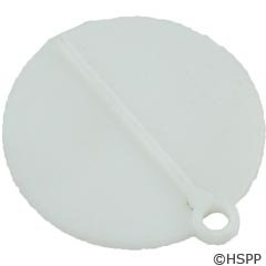 Pentair TRIM PLATE S15 85002400