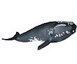Schleich Right Whale