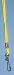 Set of 12 Economy Lanyard - Yellow