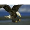 Visit This External Website