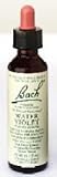 Bach Flower Essence - Violet
