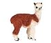 Safari: Alpaca
