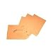 WilliamHouse X-Ray Mailer