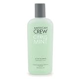 American Crew Citrus Mint Shampoo
