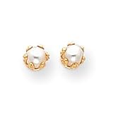 Sardelli - 14k Gold Cultured Pearl Earrings
